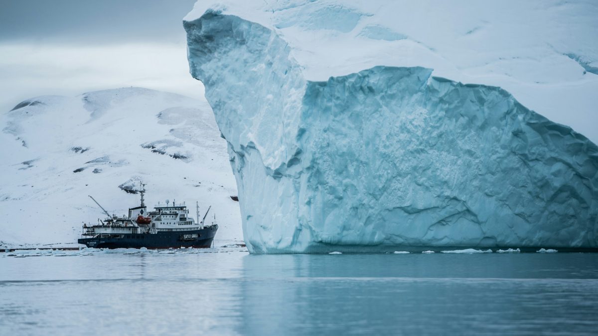 Croisière en Antarctique : ce qu'il faut vraiment savoir avant de réserver